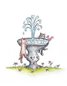 CATS_FOUNTAIN_CARD