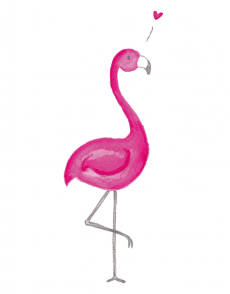 Flamingo kaart