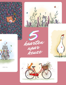 Voordeelbundel: 5 Kaarten naar keuze